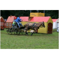 IMG19808.jpg