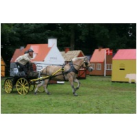 IMG19822.jpg