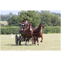 IMGC19416.JPG