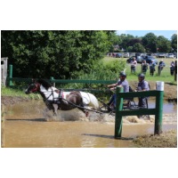 IMGD08315.JPG