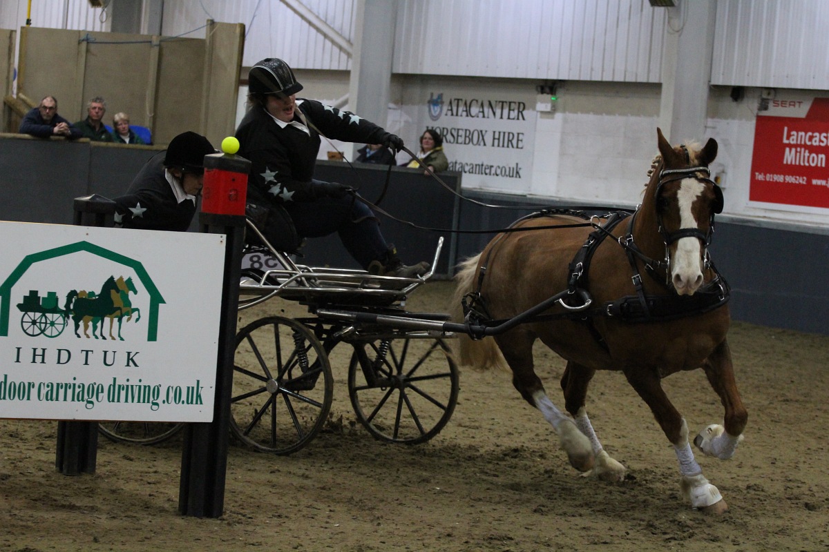 British National Indoor Carriage Driving Finals, Friday 3rd April 2015