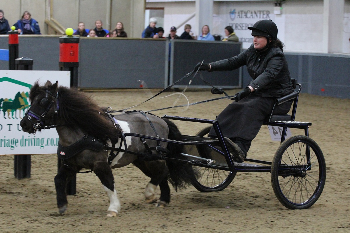 British National Indoor Carriage Driving Finals, Friday 3rd April 2015