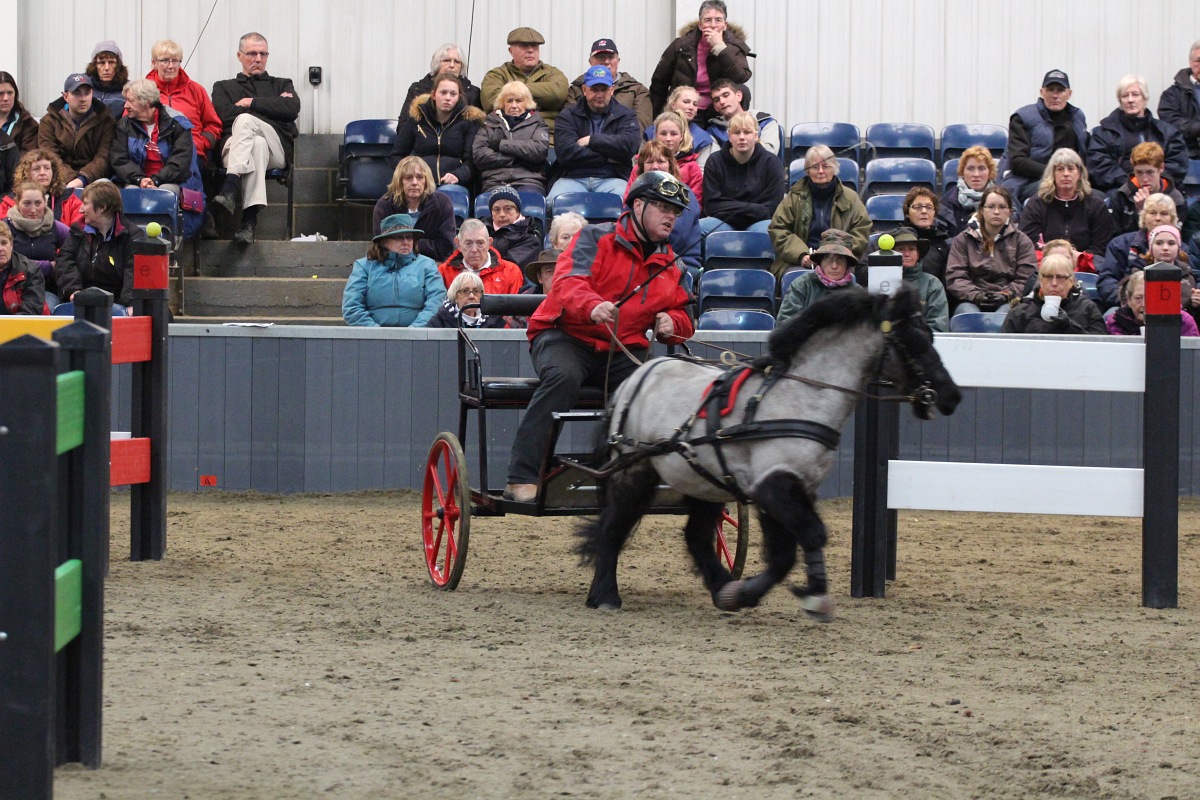 British National Indoor Carriage Driving Finals, Friday 3rd April 2015