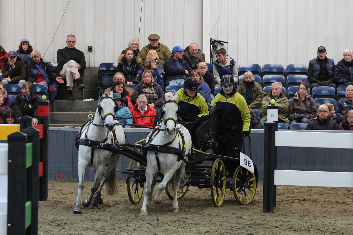 British National Indoor Carriage Driving Finals, Friday 3rd April 2015