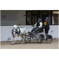 IMGC14093.JPG