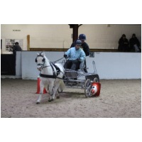 IMGC14177.JPG