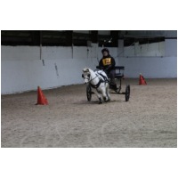 IMGC14186.JPG