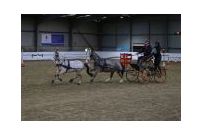 IMGD28391.JPG